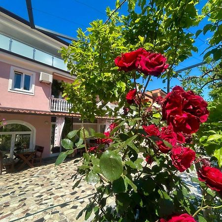 Apartments Tereza Novigrad Istria 외부 사진