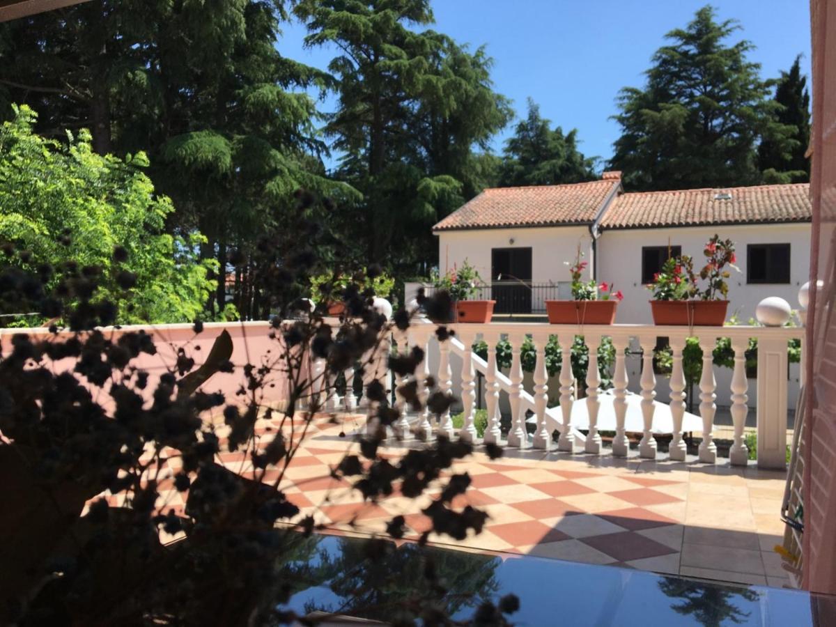 Apartments Tereza Novigrad Istria 외부 사진