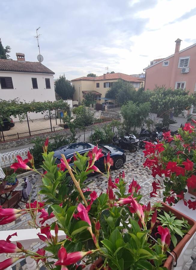 Apartments Tereza Novigrad Istria 외부 사진