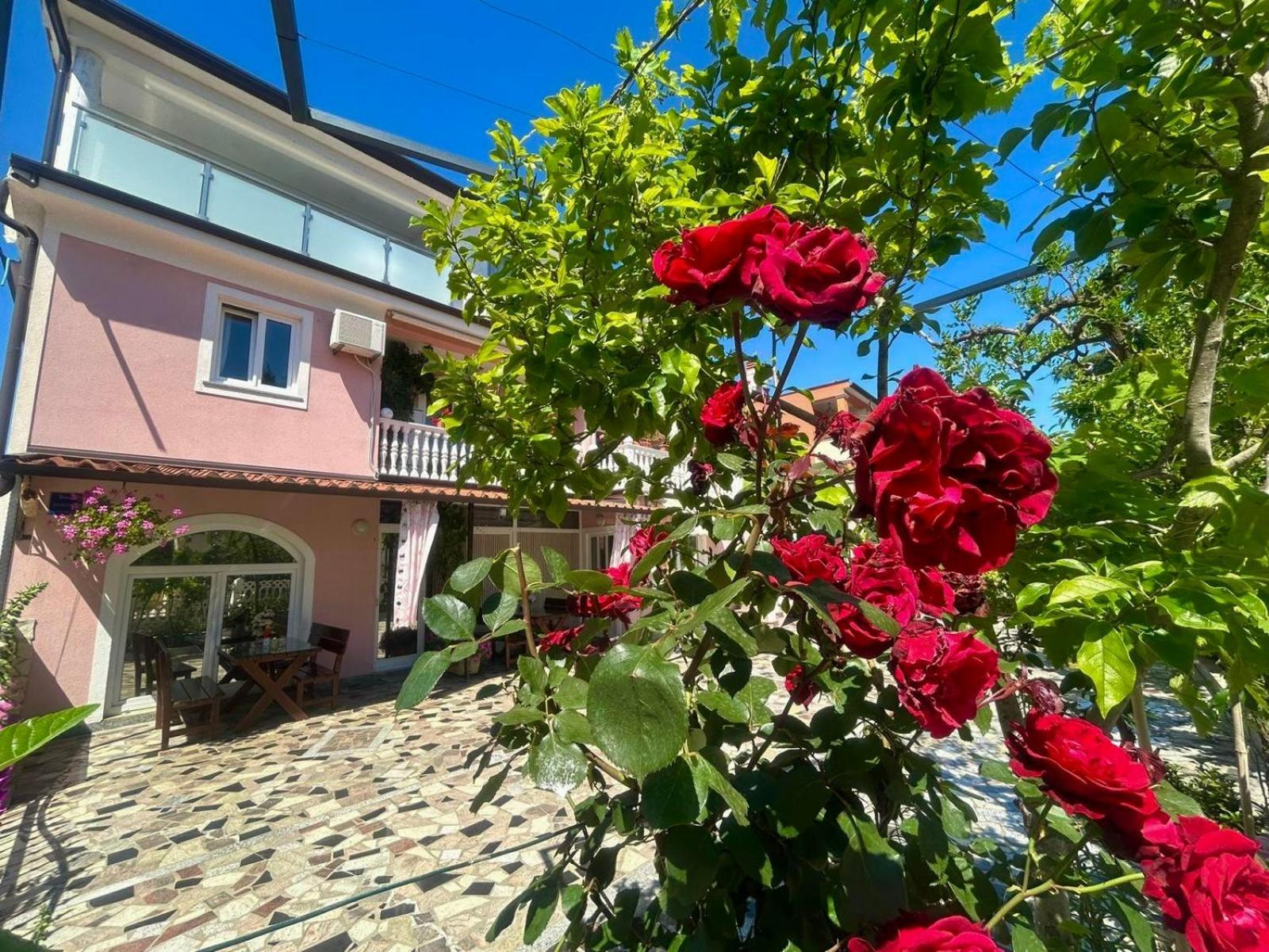 Apartments Tereza Novigrad Istria 외부 사진